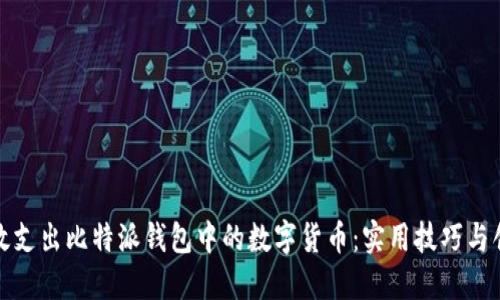 如何高效支出比特派钱包中的数字货币：实用技巧与创新策略
