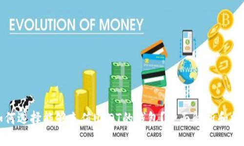 如何选择能够充值USDT的钱包？全面解析和推荐