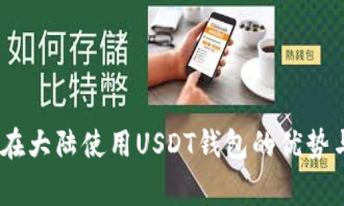 全面解析：在大陆使用USDT钱包的优势与注意事项