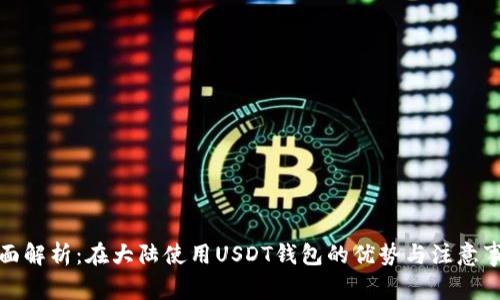 全面解析：在大陆使用USDT钱包的优势与注意事项