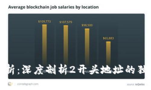 比特币钱包地址解析：深度剖析2开头地址的独特特性与安全优势