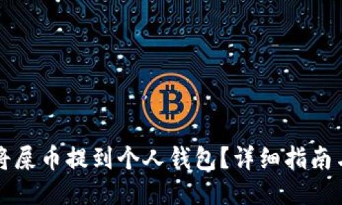 如何轻松将屎币提到个人钱包？详细指南与技巧分享