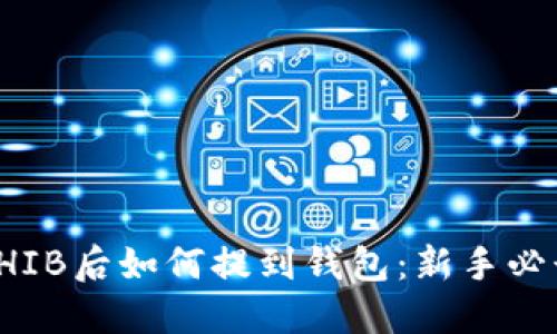 买了SHIB后如何提到钱包：新手必读攻略