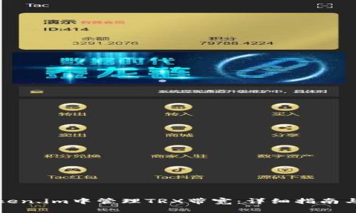 如何在Token.im中管理TRX带宽：详细指南与实用技巧