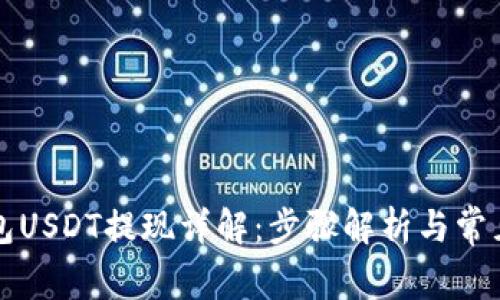 比特派钱包USDT提现详解：步骤解析与常见问题解答