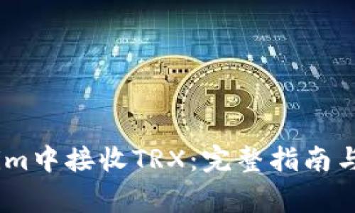 如何在Token.im中接收TRX：完整指南与常见问题解答