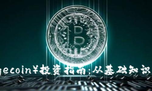 狗狗币（Dogecoin）投资指南：从基础知识到实战策略